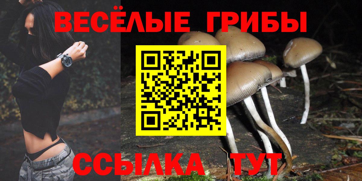 Псилоцибиновые грибы мицелий Лысьва
